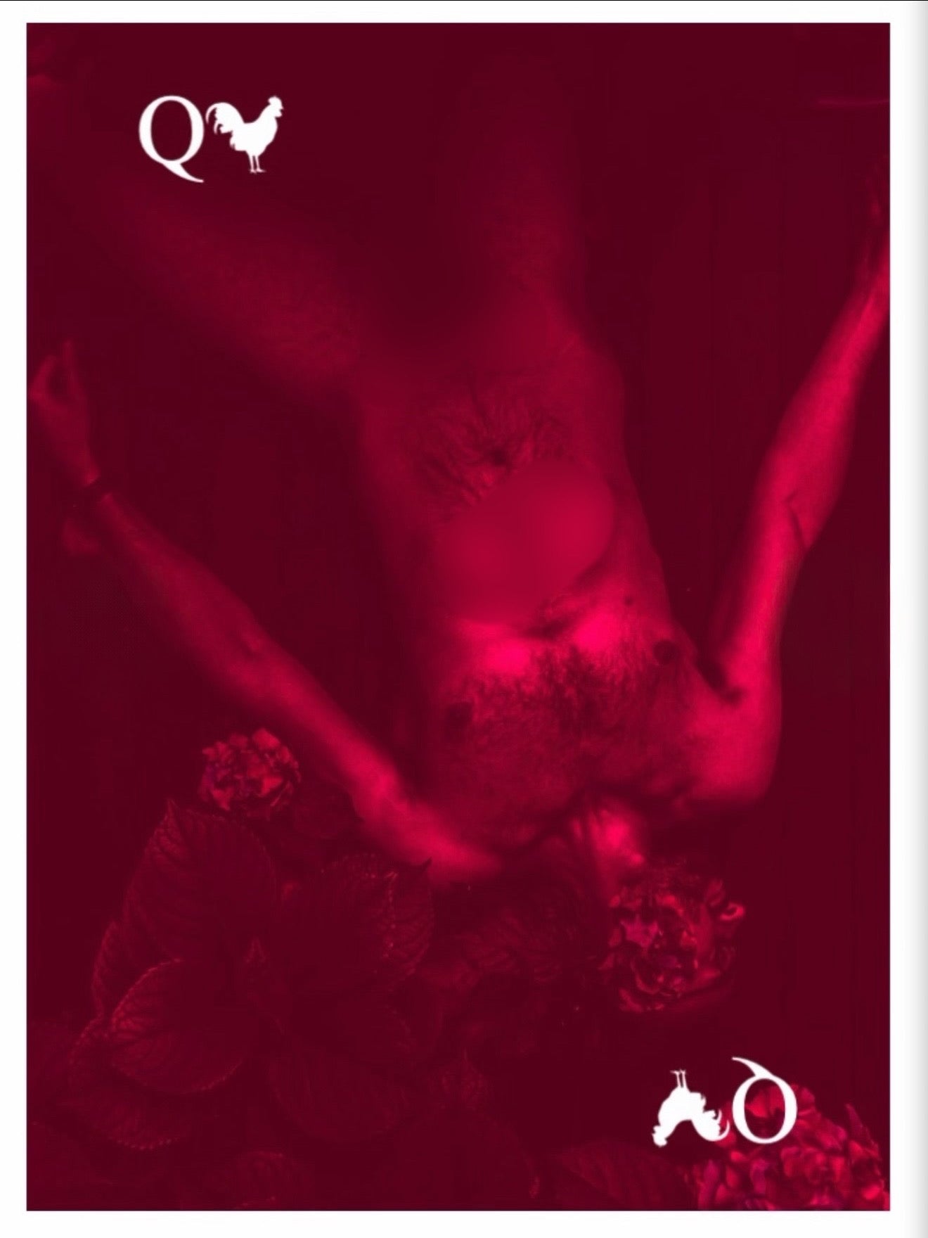 Mr.Ection 55 Card Deck