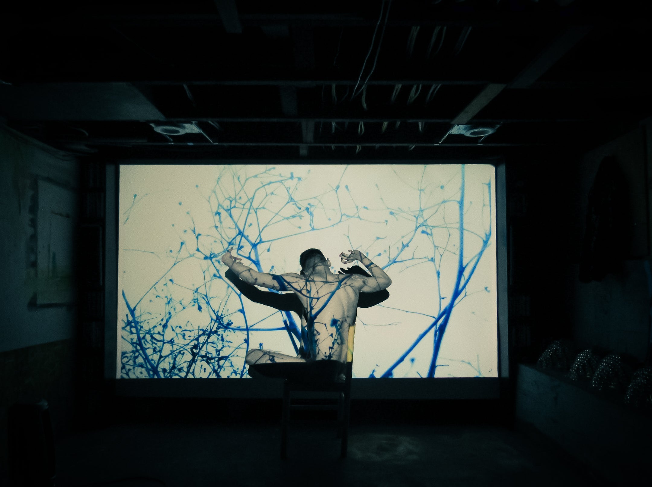 Dendrite |Body vs Projection